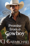 Promise From A Cowboy Cover